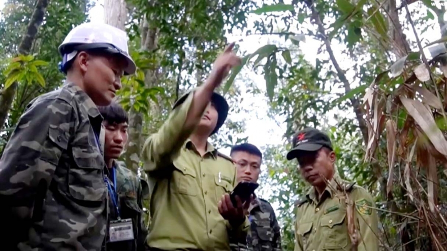 Lào Cai yêu cầu không đốt nương khi cảnh báo nguy cơ cháy rừng ở cấp nguy hiểm